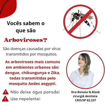 Vocês sabem o que são arboviroses?
